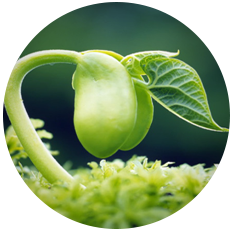 廣東江信電子科技有限公司